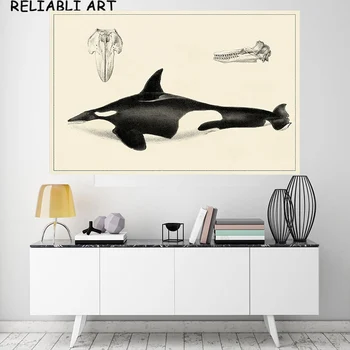 Модерна реколта акула животински платно живопис акула скелет модел отпечатъци и плакат стена изкуство за хол дома декор без рамка
